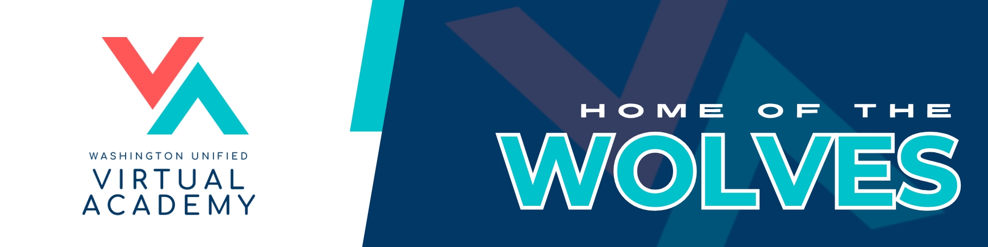 Photo of Virtual Academy logo