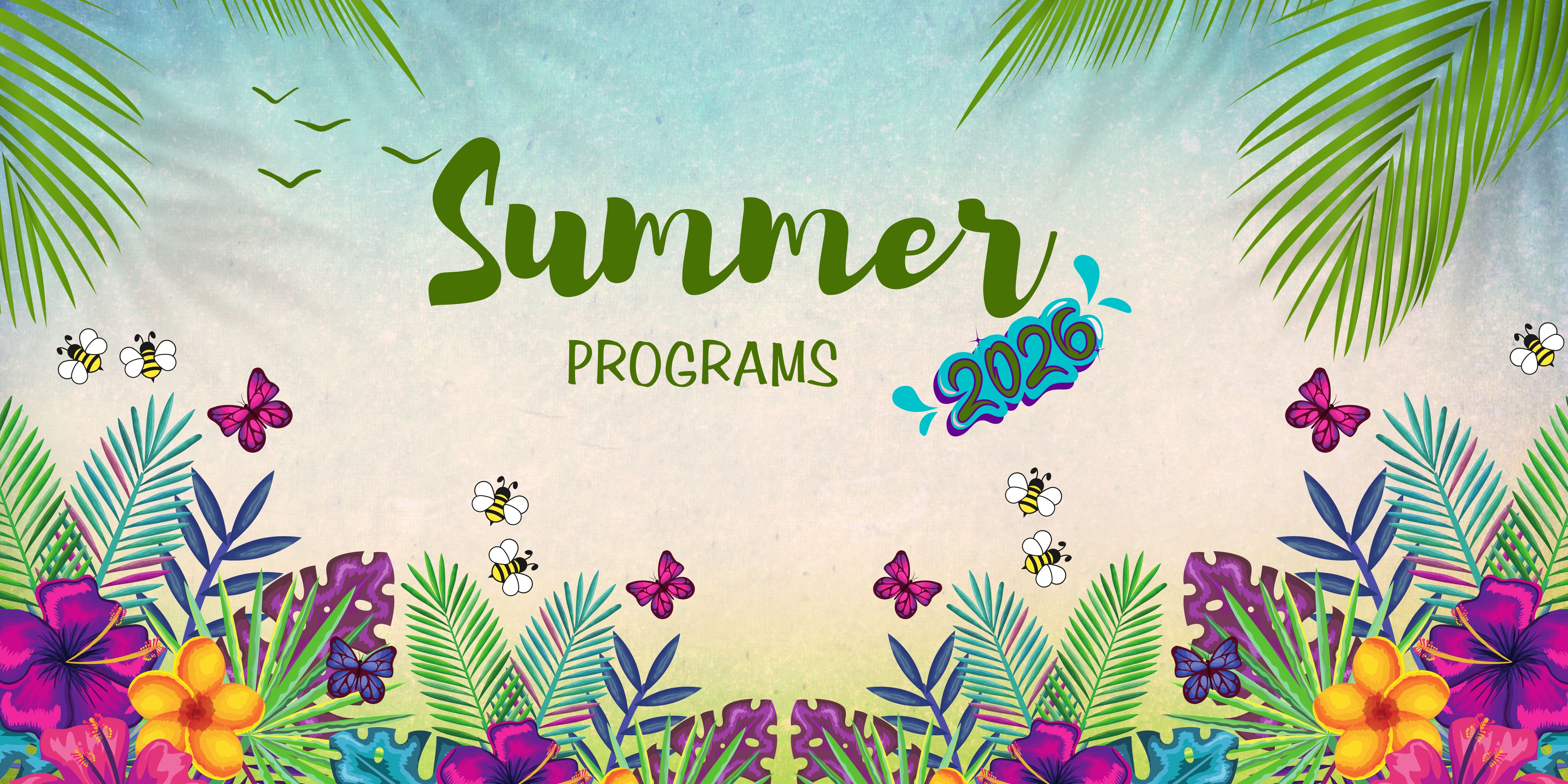 Summer programs 2024 graphic